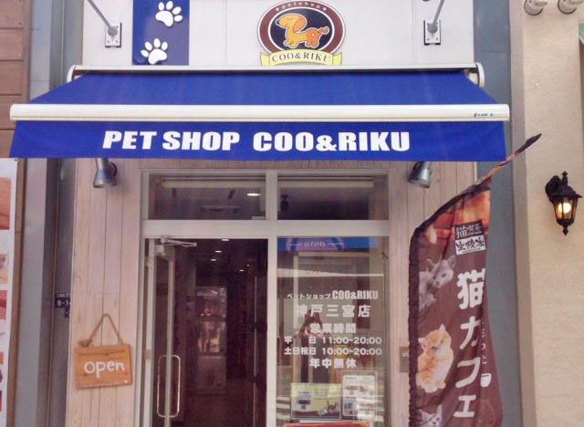 ペットショップ Coo&RIKU 神戸三宮店