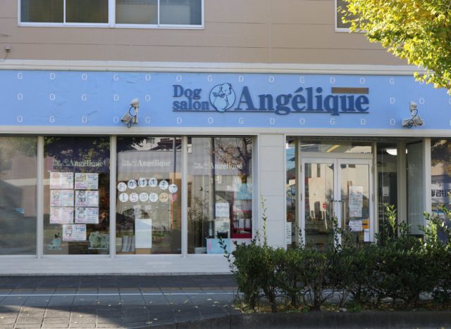 Dog salon Angelique（アンジェリーク）