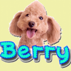 DogHouse BERRY（ドッグハウス ベリー）