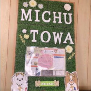 Michutowa 犬のトリミング＆ホテル