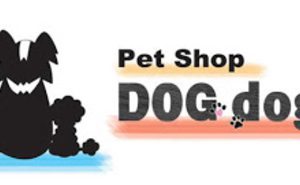 Pet Shop Dog dog