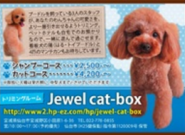 トリミングルーム Jewel cat-box（ジュエル キャット‐ボックス）