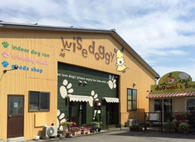 wise doggy（ワイズドギー） 富山店