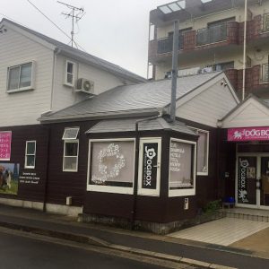 DOGBOX 東長崎店