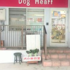 Dog Heart（ドッグ・ハート）