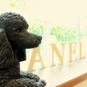 Dog Salon ANELA（ドッグサロン アネラ）
