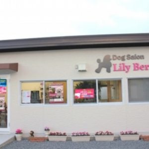 Dog Salon Lily Berry（リリーベリー）