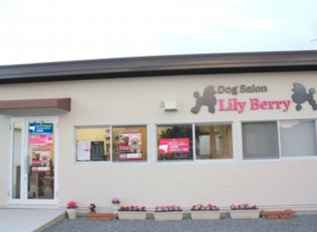 Dog Salon Lily Berry（リリーベリー）