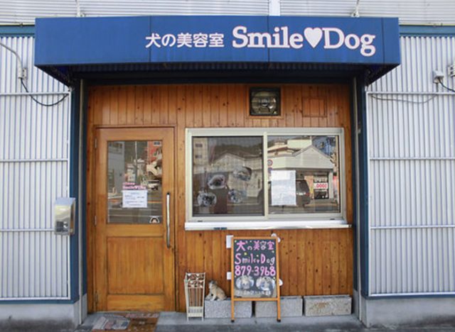 Smile Dog（スマイルドッグ）