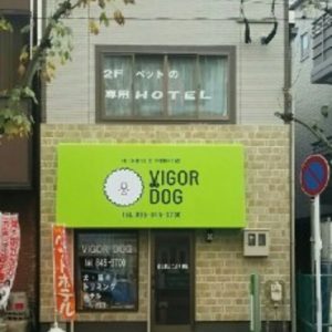 VIGOR DOG（ヴィガードッグ）