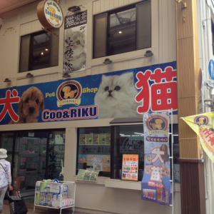 ペットショップ Coo&RIKU 長崎浜町店