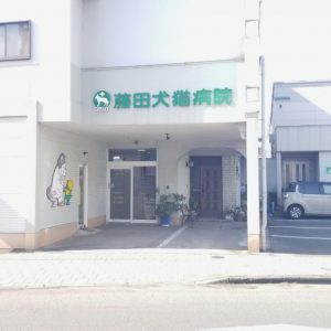 藤田犬猫病院（トリミング）