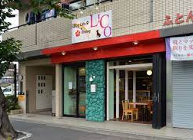 Dog Cafe & Dining LICO（ドッグカフェ&ダイニング リコ）