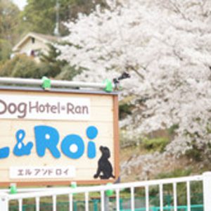 Dog Hotel L & Roi（ドッグホテル・エルアンドロイ）