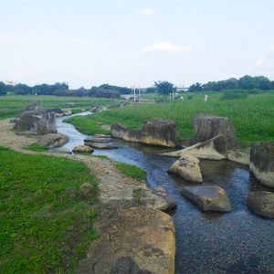 多摩川親水公園