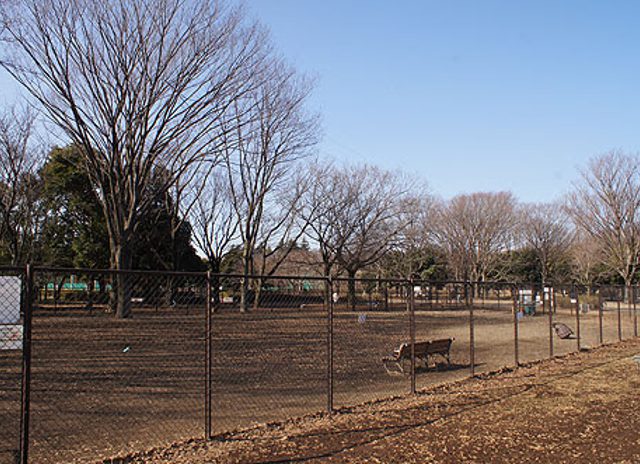 小金井公園ドッグラン