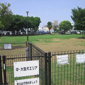 篠崎公園ドッグラン
