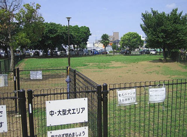 篠崎公園ドッグラン