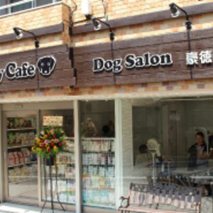 Andy Cafe（アンディカフェ） 豪徳寺店