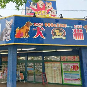 ペットショップ Coo&RIKU 熊本店