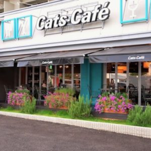 Cats Cafe 港店（キャッツカフェ）