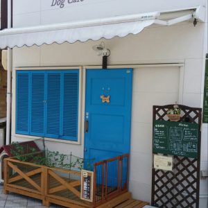 Dog Cafe 11