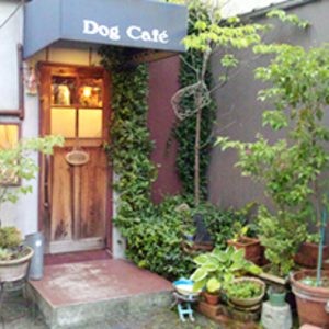 Dog Cafe（ドッグ・カフェ）