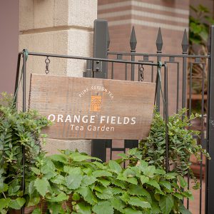 Orange Fields Tea Garden（オレンジフィールズ ティーガーデン）