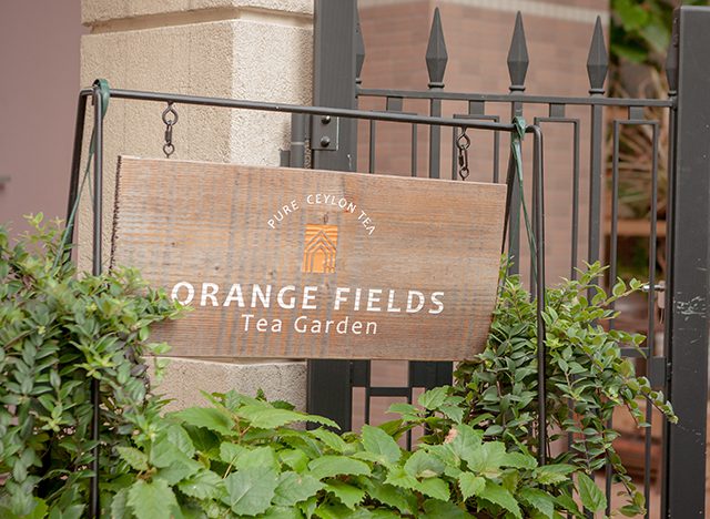 Orange Fields Tea Garden（オレンジフィールズ ティーガーデン）